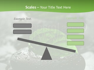 A Group Of Rocks With Green Leaves On Them PowerPoint Template