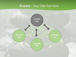 A Group Of Rocks With Green Leaves On Them PowerPoint Template