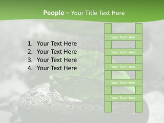 A Group Of Rocks With Green Leaves On Them PowerPoint Template