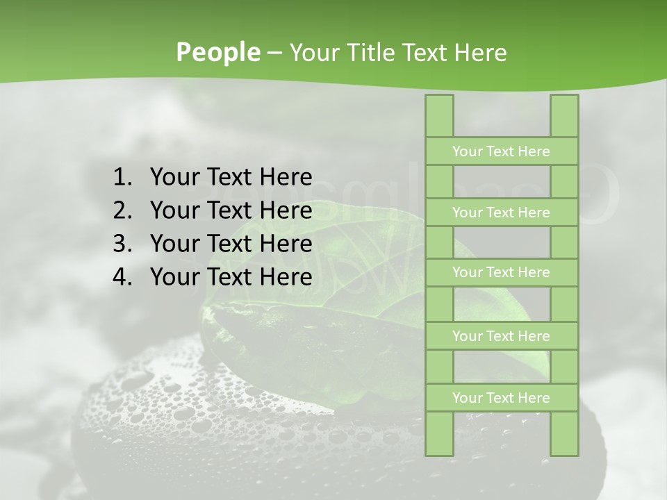 A Group Of Rocks With Green Leaves On Them PowerPoint Template