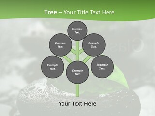 A Group Of Rocks With Green Leaves On Them PowerPoint Template