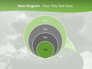 A Group Of Rocks With Green Leaves On Them PowerPoint Template