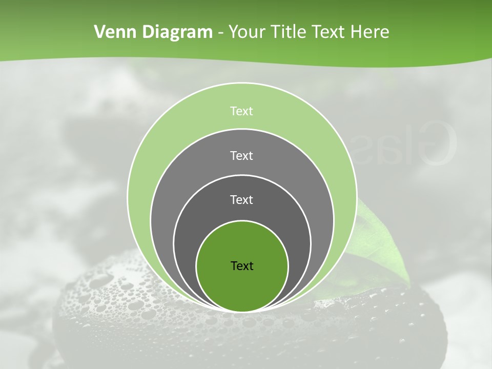 A Group Of Rocks With Green Leaves On Them PowerPoint Template