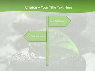 A Group Of Rocks With Green Leaves On Them PowerPoint Template