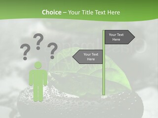 A Group Of Rocks With Green Leaves On Them PowerPoint Template