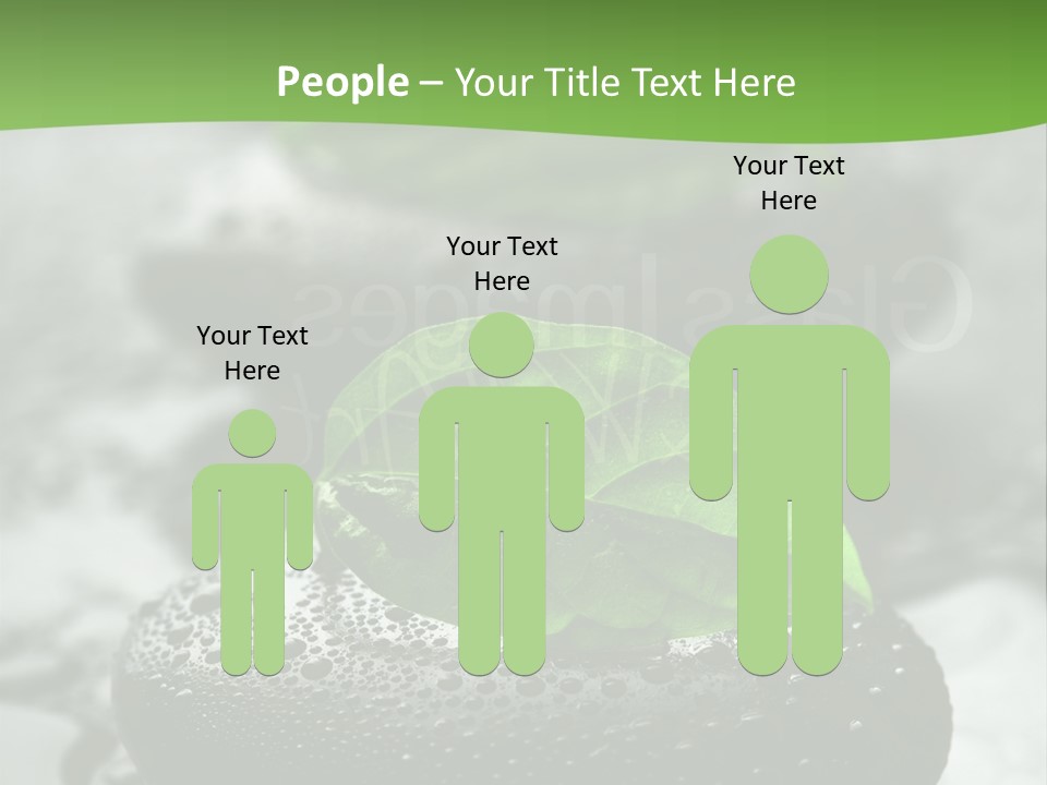 A Group Of Rocks With Green Leaves On Them PowerPoint Template