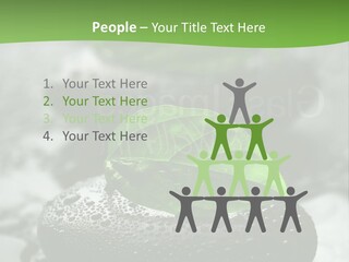 A Group Of Rocks With Green Leaves On Them PowerPoint Template