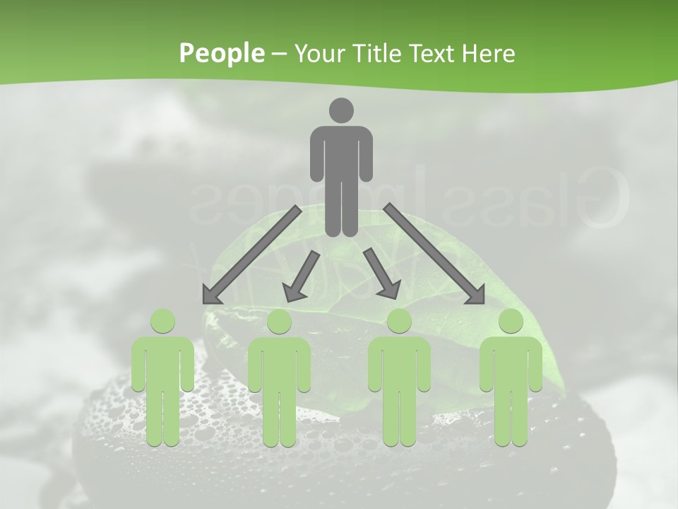 A Group Of Rocks With Green Leaves On Them PowerPoint Template