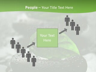 A Group Of Rocks With Green Leaves On Them PowerPoint Template