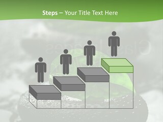 A Group Of Rocks With Green Leaves On Them PowerPoint Template