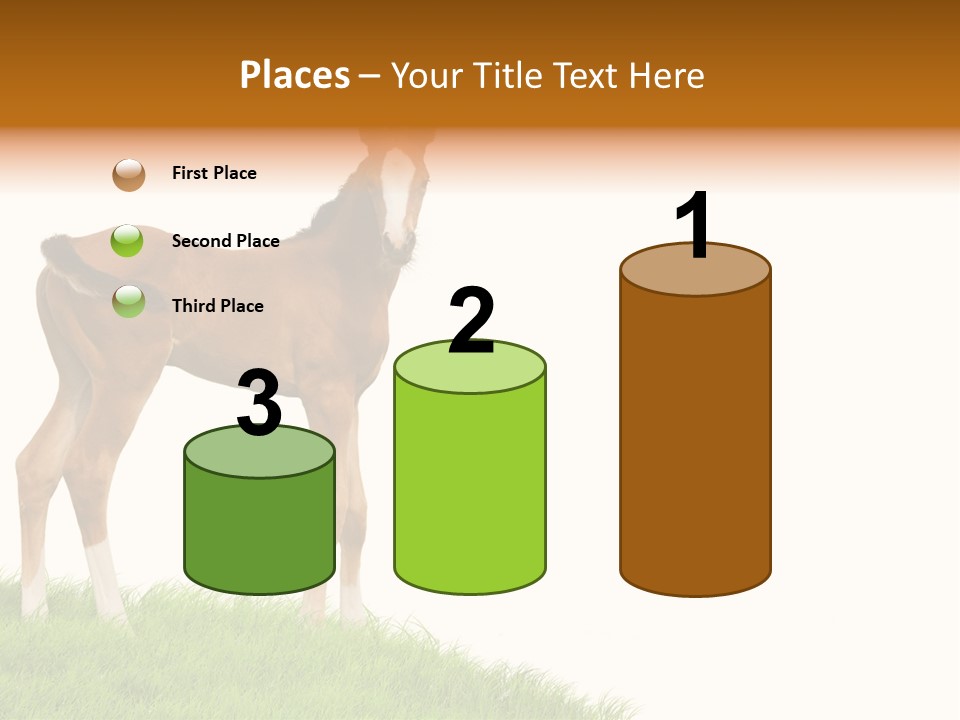 Geographical Globe High PowerPoint Template