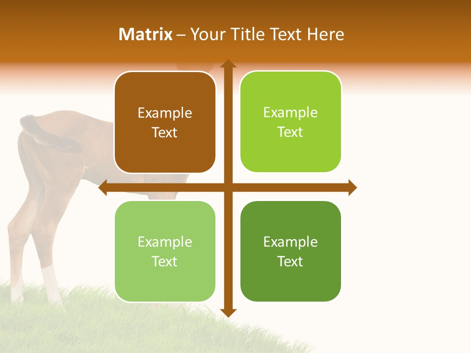 Geographical Globe High PowerPoint Template