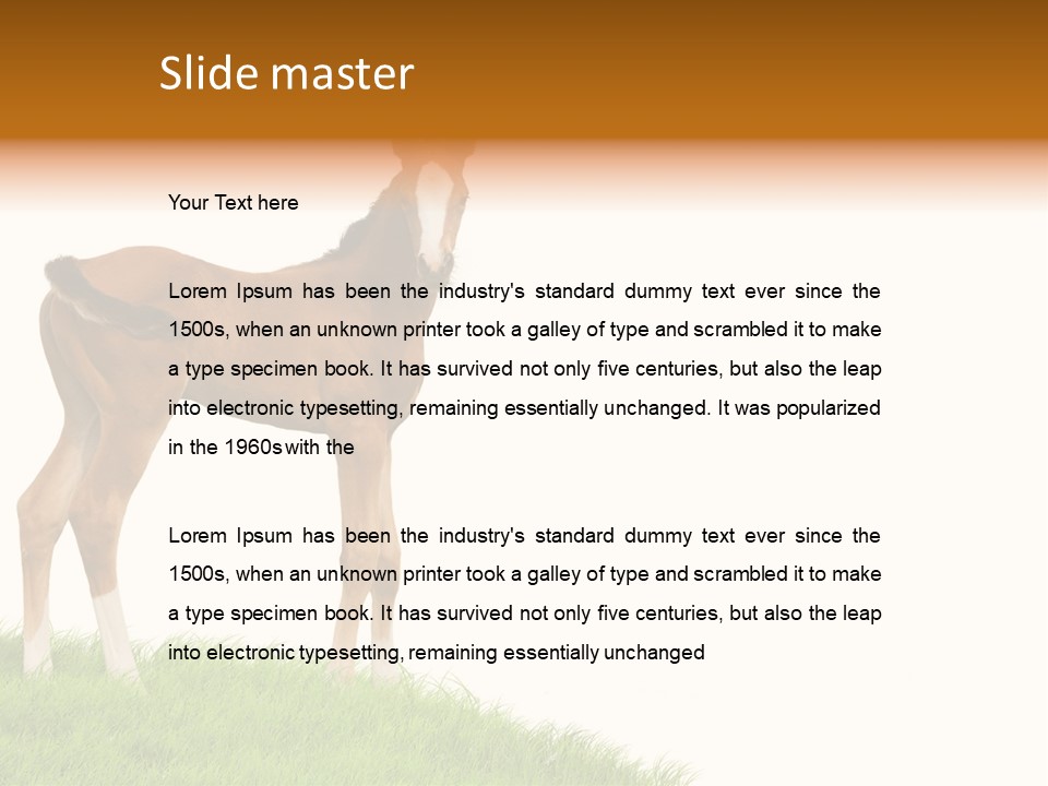 Geographical Globe High PowerPoint Template