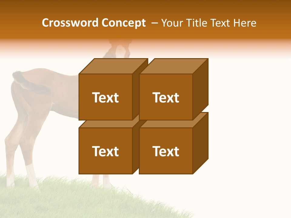 Geographical Globe High PowerPoint Template