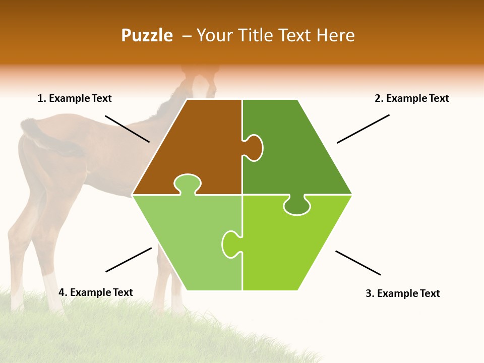 Geographical Globe High PowerPoint Template