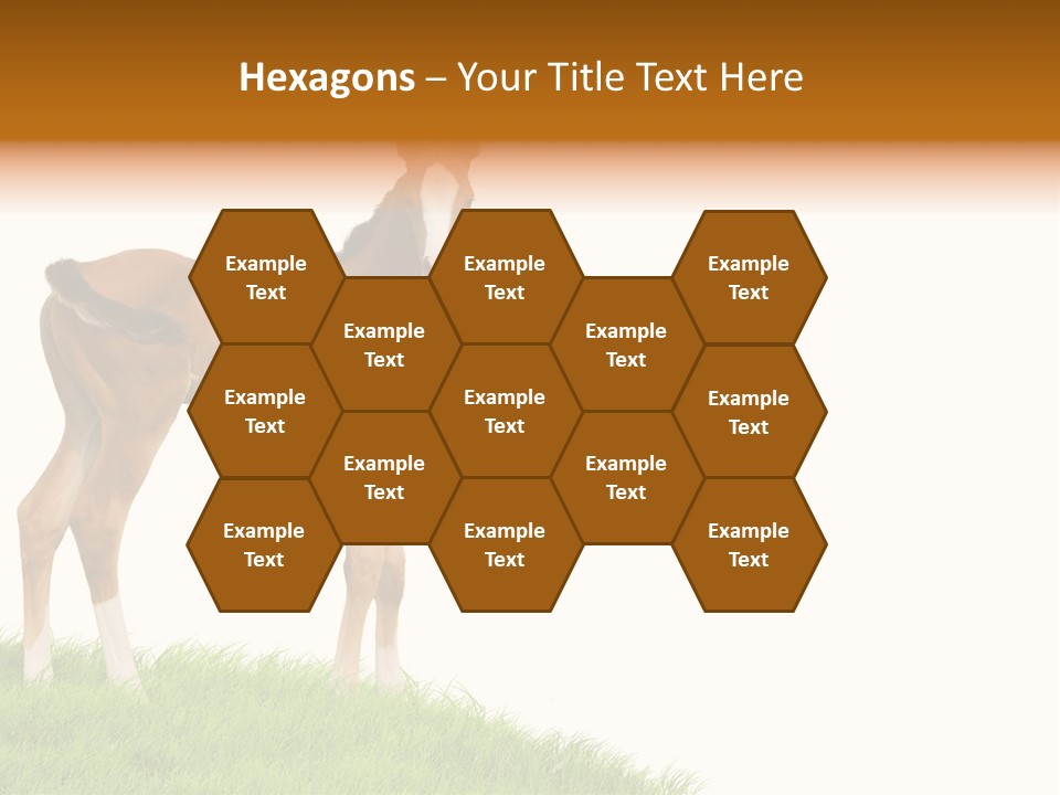 Geographical Globe High PowerPoint Template