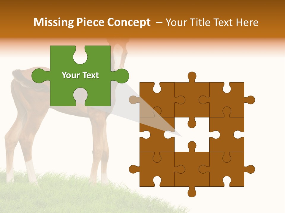 Geographical Globe High PowerPoint Template