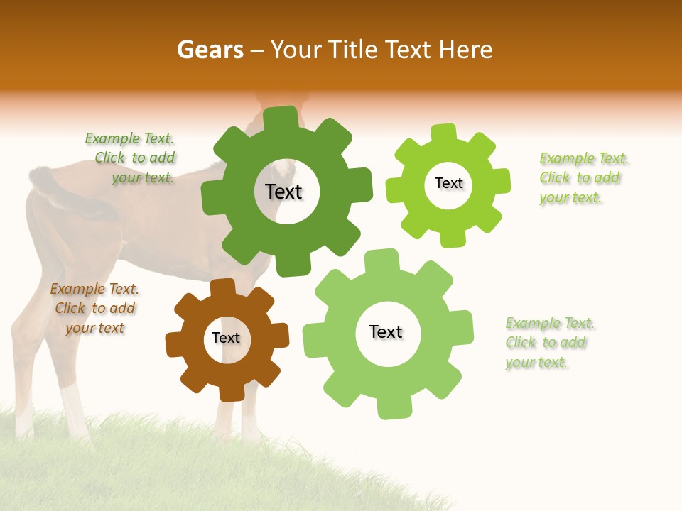 Geographical Globe High PowerPoint Template