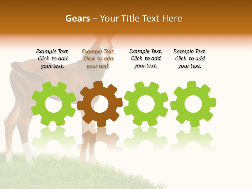 Geographical Globe High PowerPoint Template