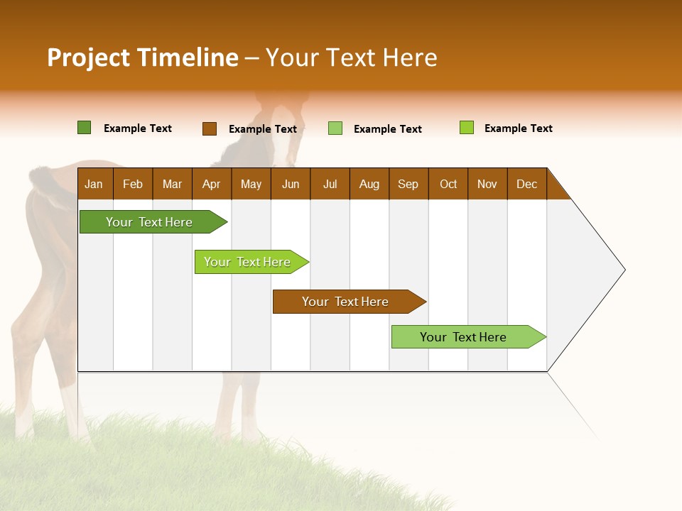 Geographical Globe High PowerPoint Template