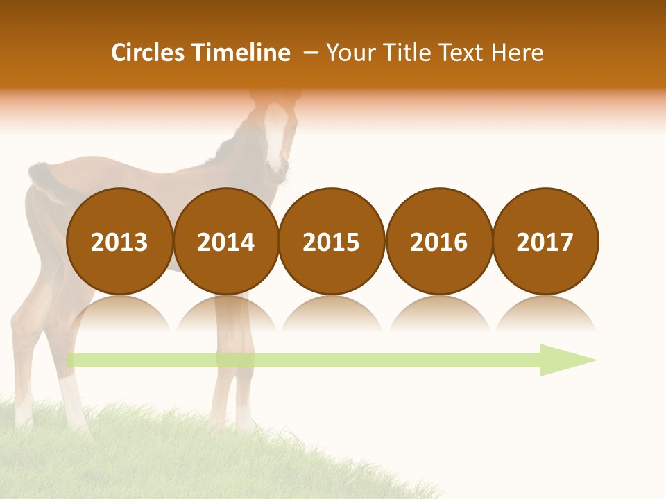 Geographical Globe High PowerPoint Template