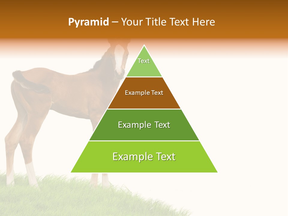 Geographical Globe High PowerPoint Template