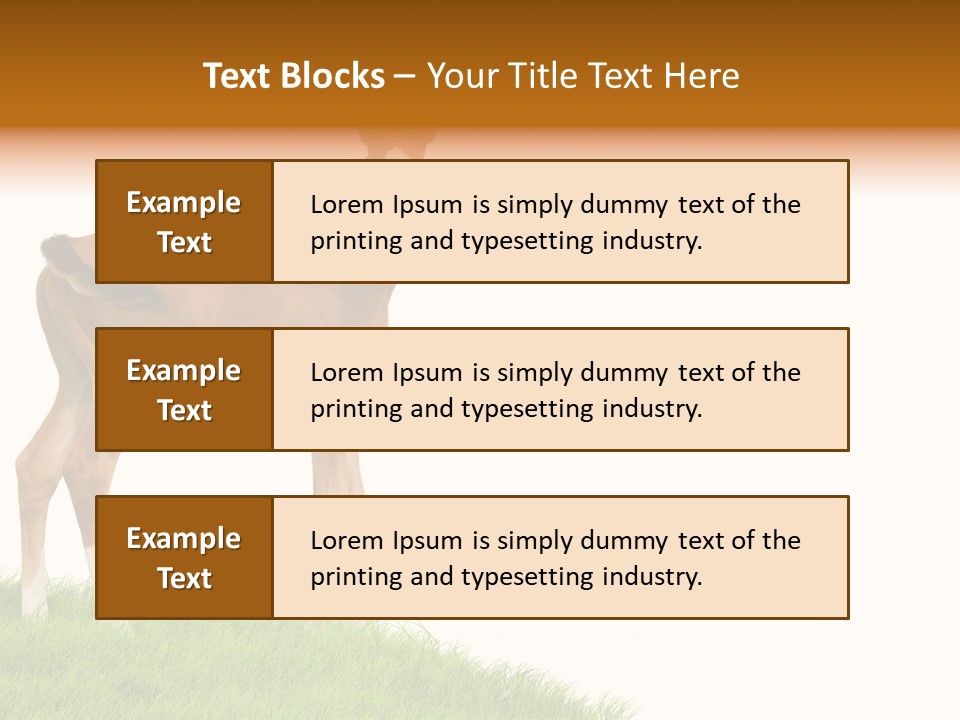 Geographical Globe High PowerPoint Template