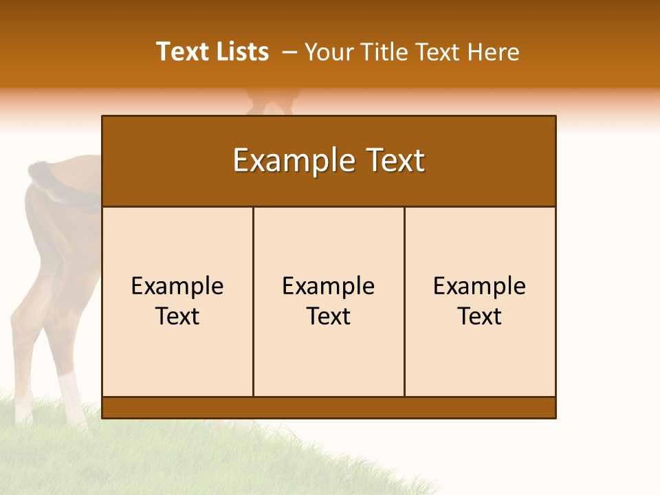 Geographical Globe High PowerPoint Template