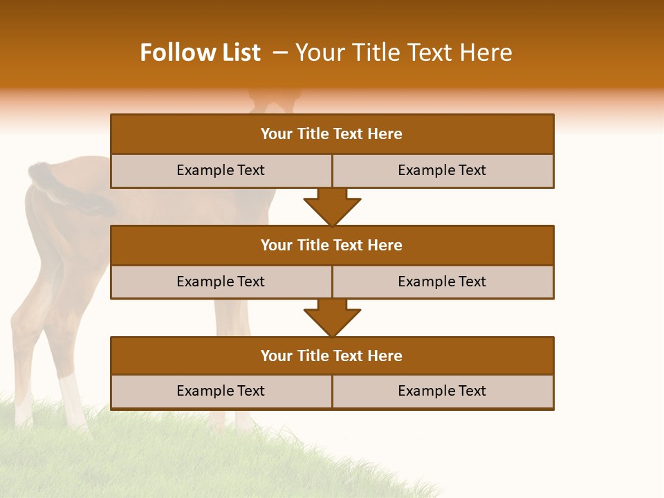 Geographical Globe High PowerPoint Template