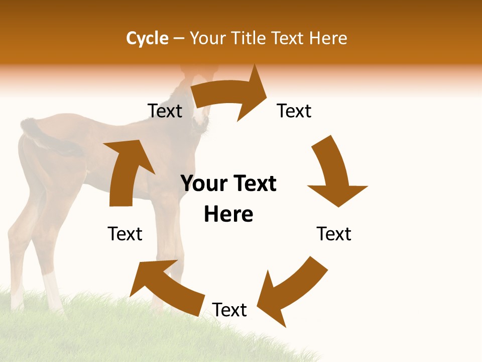 Geographical Globe High PowerPoint Template