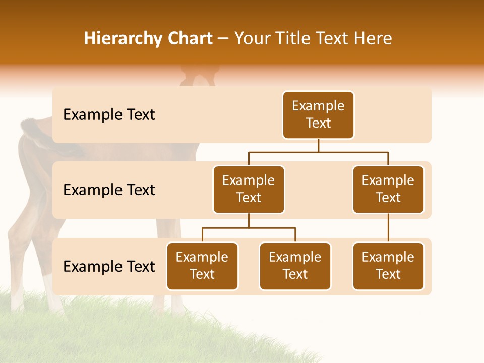 Geographical Globe High PowerPoint Template