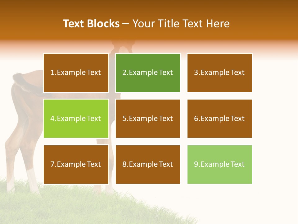 Geographical Globe High PowerPoint Template