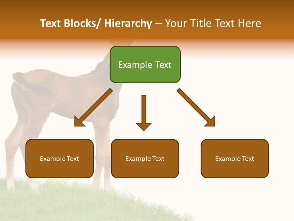 Geographical Globe High PowerPoint Template