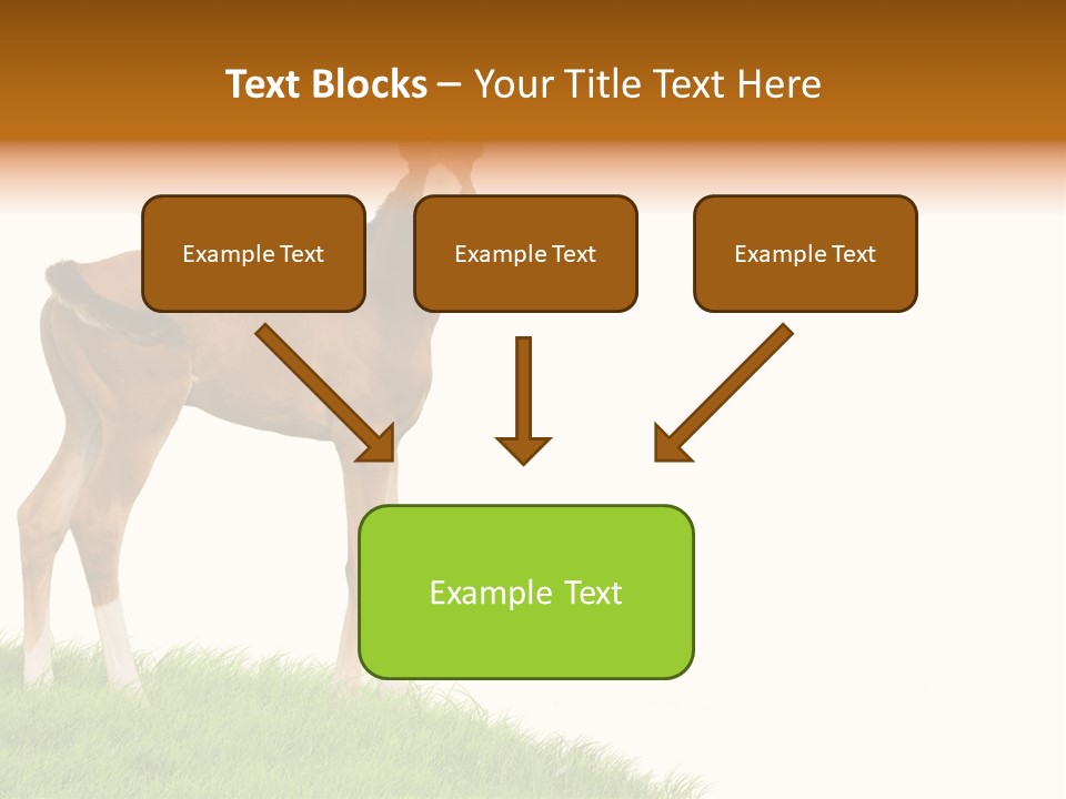 Geographical Globe High PowerPoint Template