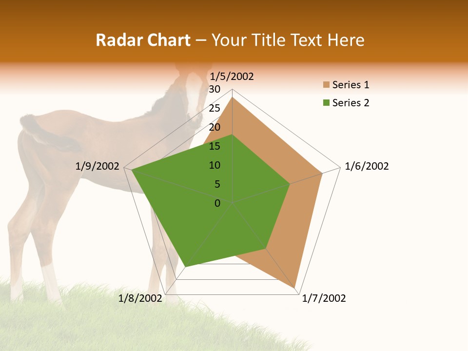 Geographical Globe High PowerPoint Template