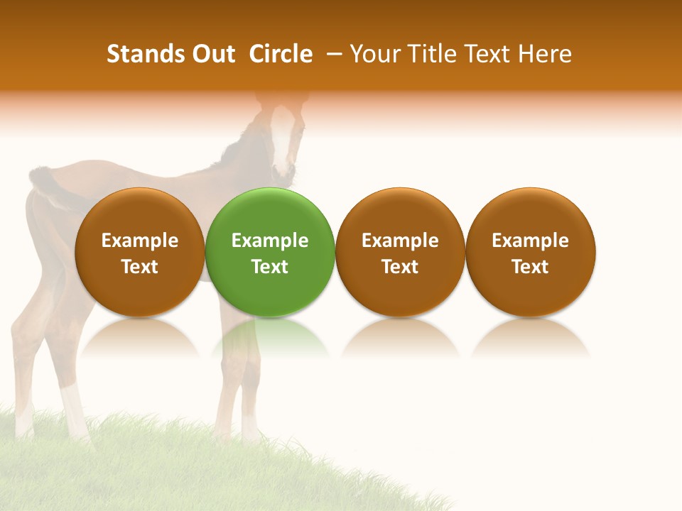 Geographical Globe High PowerPoint Template