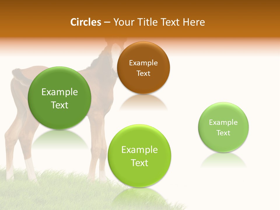 Geographical Globe High PowerPoint Template