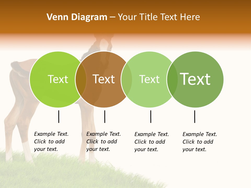 Geographical Globe High PowerPoint Template