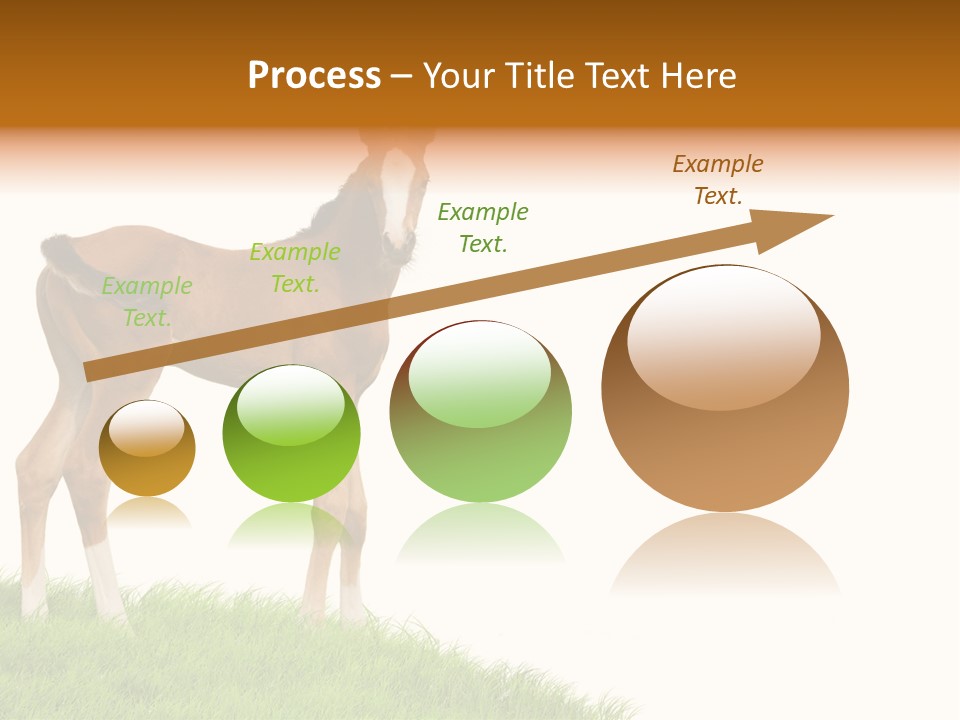Geographical Globe High PowerPoint Template