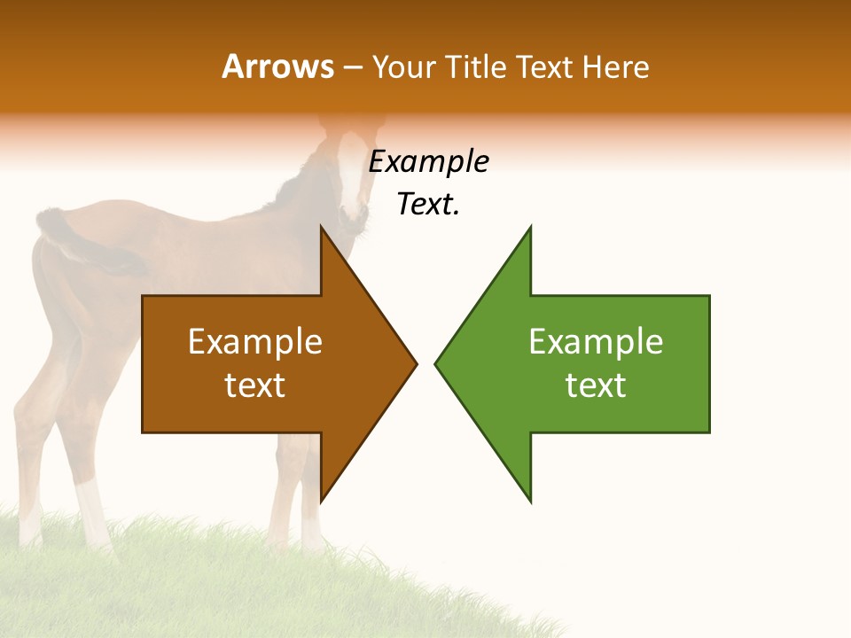 Geographical Globe High PowerPoint Template