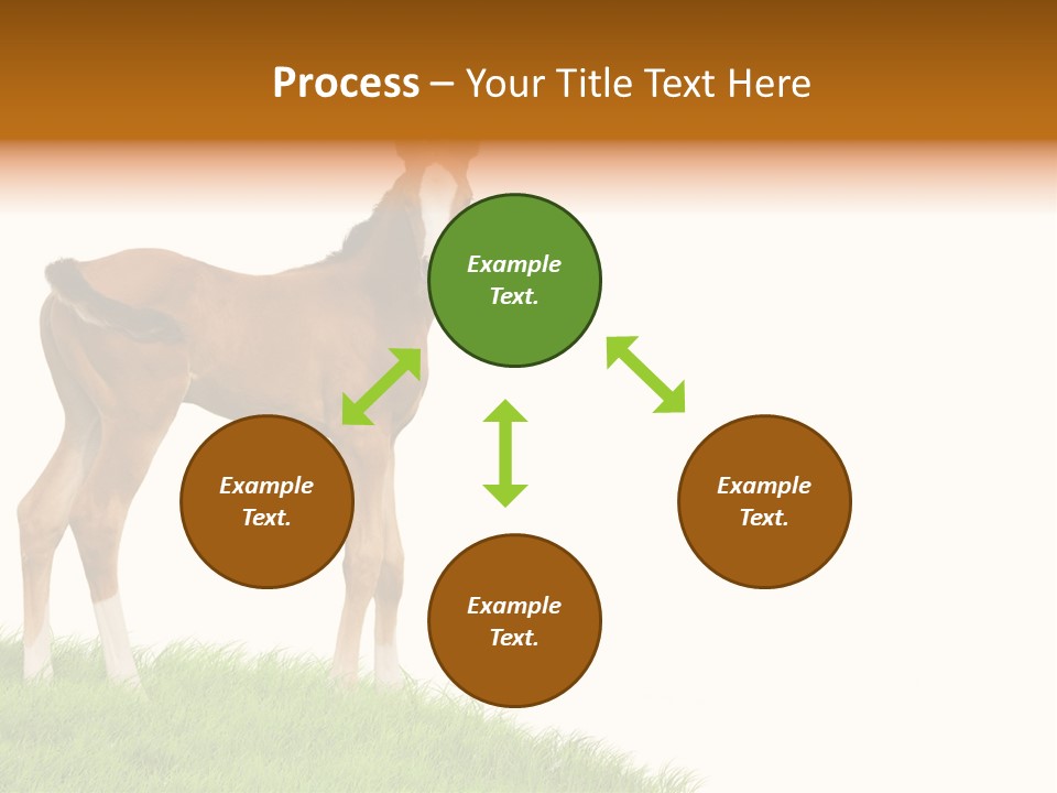 Geographical Globe High PowerPoint Template