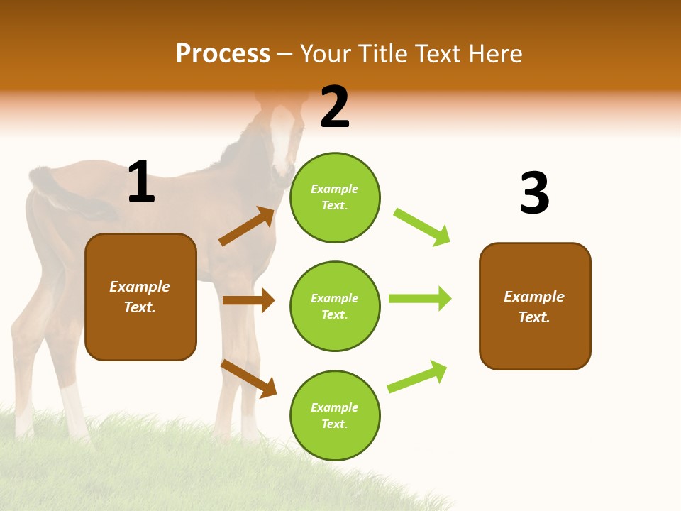 Geographical Globe High PowerPoint Template