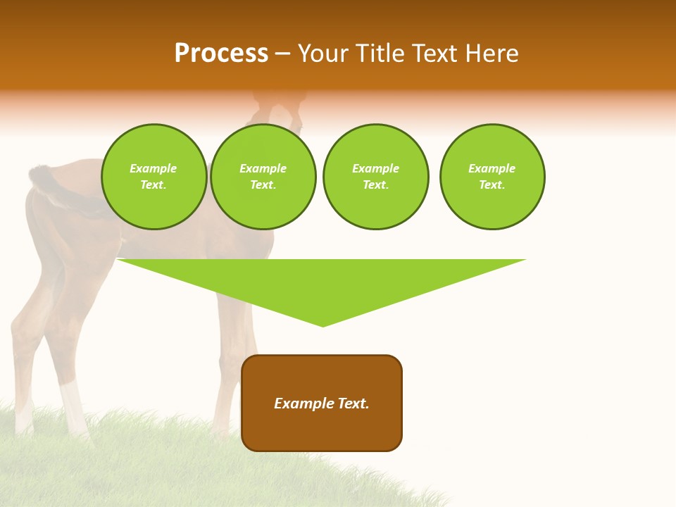 Geographical Globe High PowerPoint Template