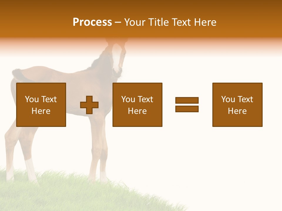 Geographical Globe High PowerPoint Template