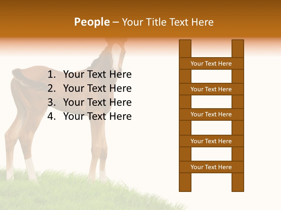 Geographical Globe High PowerPoint Template