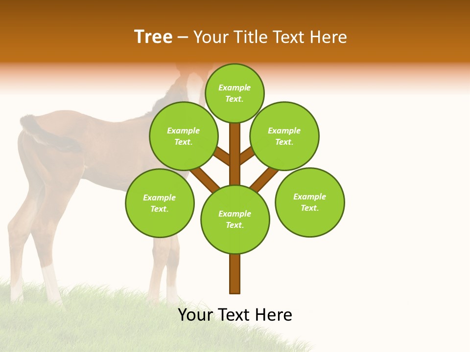 Geographical Globe High PowerPoint Template
