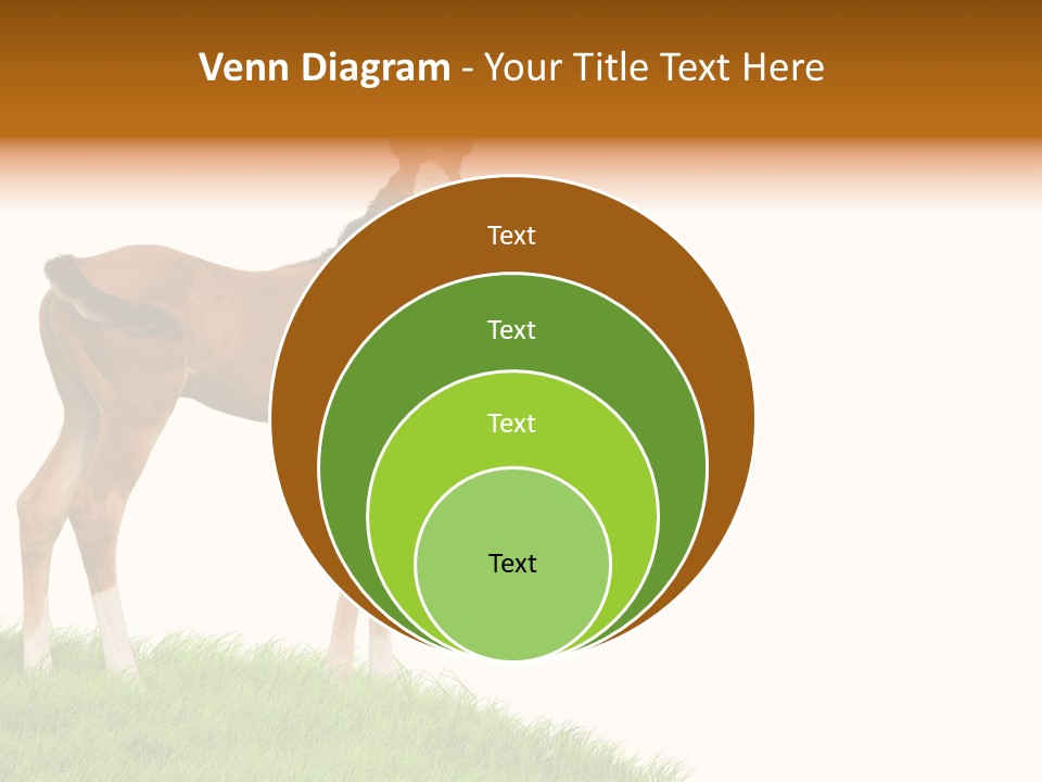 Geographical Globe High PowerPoint Template