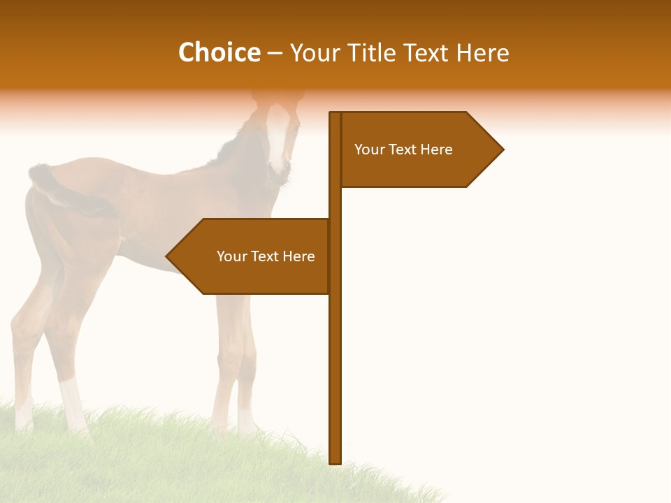 Geographical Globe High PowerPoint Template