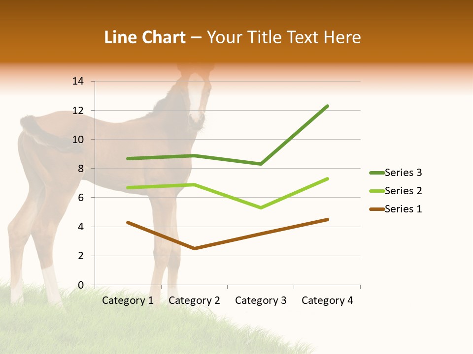 Geographical Globe High PowerPoint Template