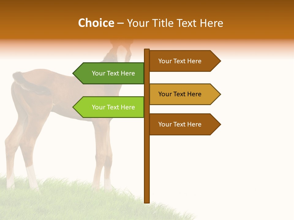 Geographical Globe High PowerPoint Template